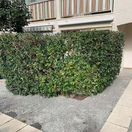 Joli Studio A Maxime Appartement